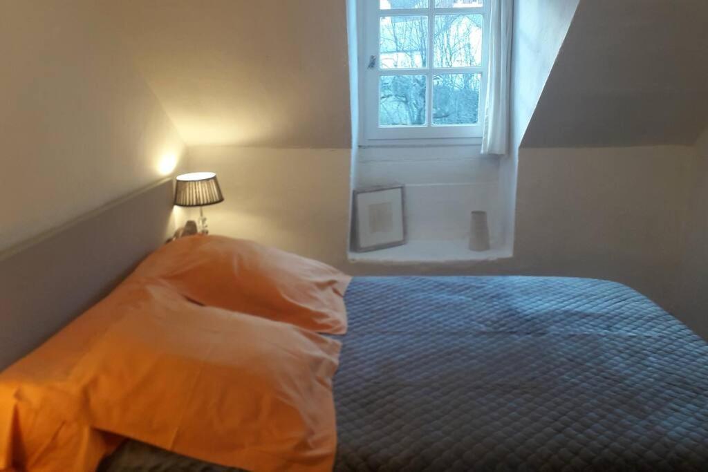Magnifique Maison De Maitre Du 18E Avec Jardin Luz-Saint-Sauveur Extérieur photo