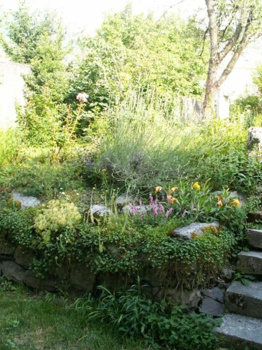 Magnifique Maison De Maitre Du 18E Avec Jardin Luz-Saint-Sauveur Extérieur photo