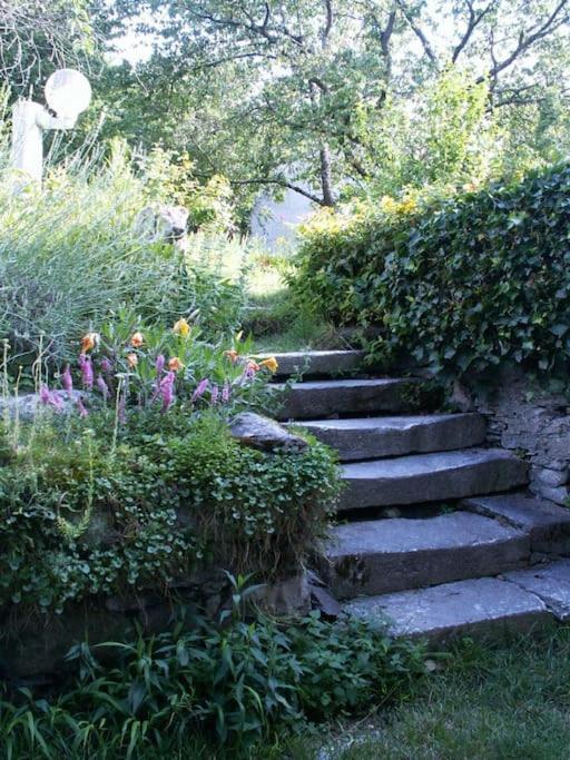 Magnifique Maison De Maitre Du 18E Avec Jardin Luz-Saint-Sauveur Extérieur photo